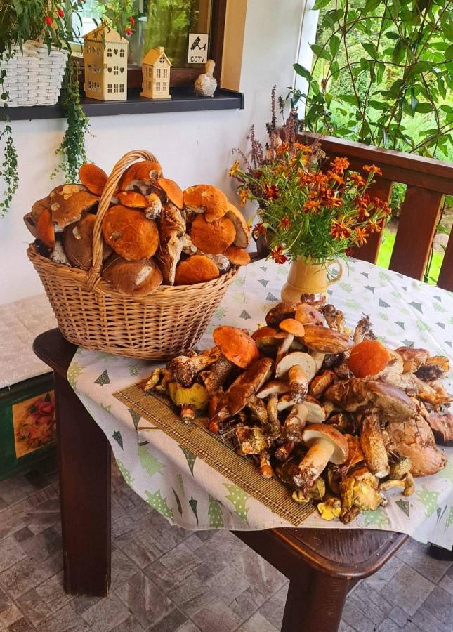 Chaloupky U Matusku Βίλα Varnsdorf Εξωτερικό φωτογραφία