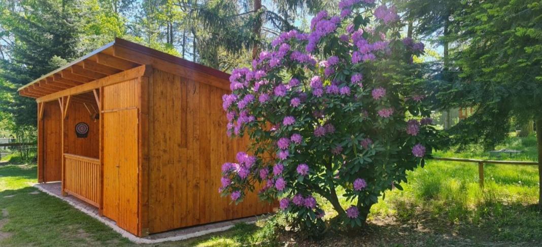Chaloupky U Matusku Βίλα Varnsdorf Εξωτερικό φωτογραφία