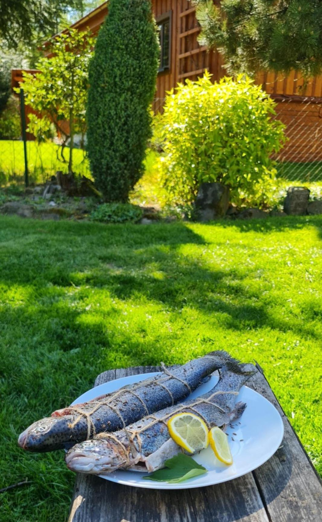 Chaloupky U Matusku Βίλα Varnsdorf Εξωτερικό φωτογραφία